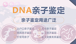 扬州隐私亲子鉴定机构在哪儿,扬州个人亲子鉴定中心预约流程 扬州隐私亲子鉴定机构在哪儿,扬州个人亲子鉴定中心预约流程