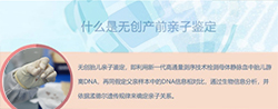 扬州怀孕亲子鉴定中心多久可以检测出来 扬州怀孕亲子鉴定中心多久可以检测出来